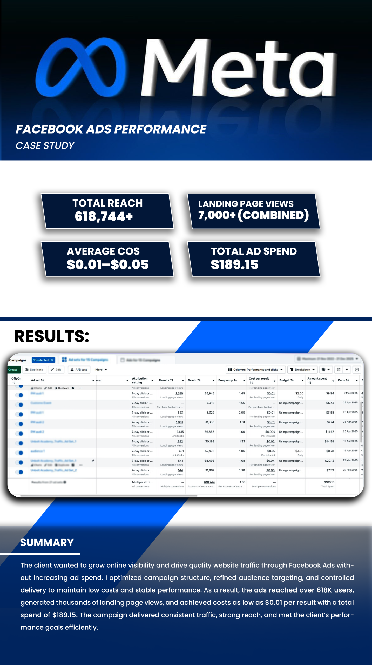 FACEBOOK ADS PERFORMANCE