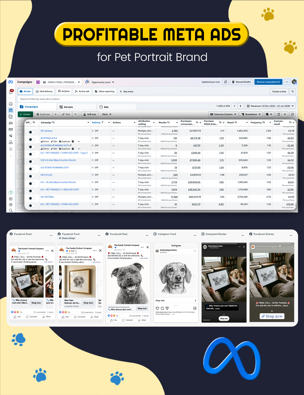 PROFITABLE META ADS for Pet Portrait Brand
